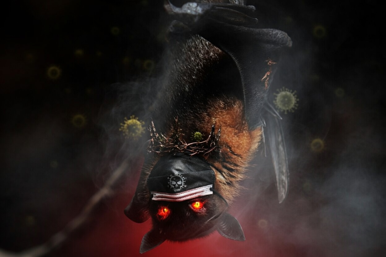 Ya tenemos al próximo malo de la película: es murciélago, pesa 34 gramos y lo han descubierto en Oklahoma, para que parezca más serio