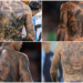 Poco se habla de los tatuajes de los jugadores de la selección Argentina: se tatúan incluso series de televisión