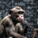 Cáritas desmonta teorías… y se desmonta a sí misma con un titular que merece el premio Nobel de Matemáticas
