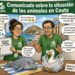 El mismo partido que lleva años llamando asesinos a los aficionados a los toros ha descubierto, en Ceuta, las virtudes del condicional